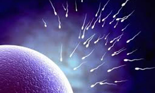 Oligospermia